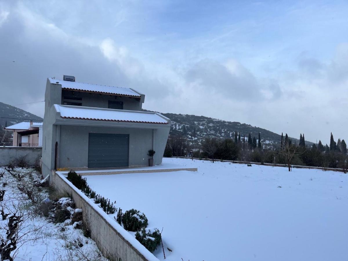 Stellas Guesthouse Near Arachova Stírion Buitenkant foto