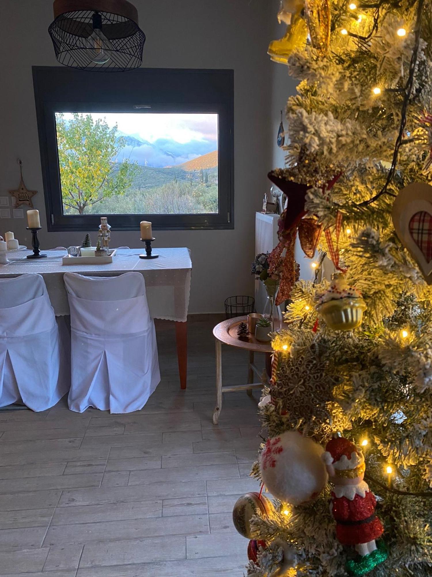 Stellas Guesthouse Near Arachova Stírion Buitenkant foto
