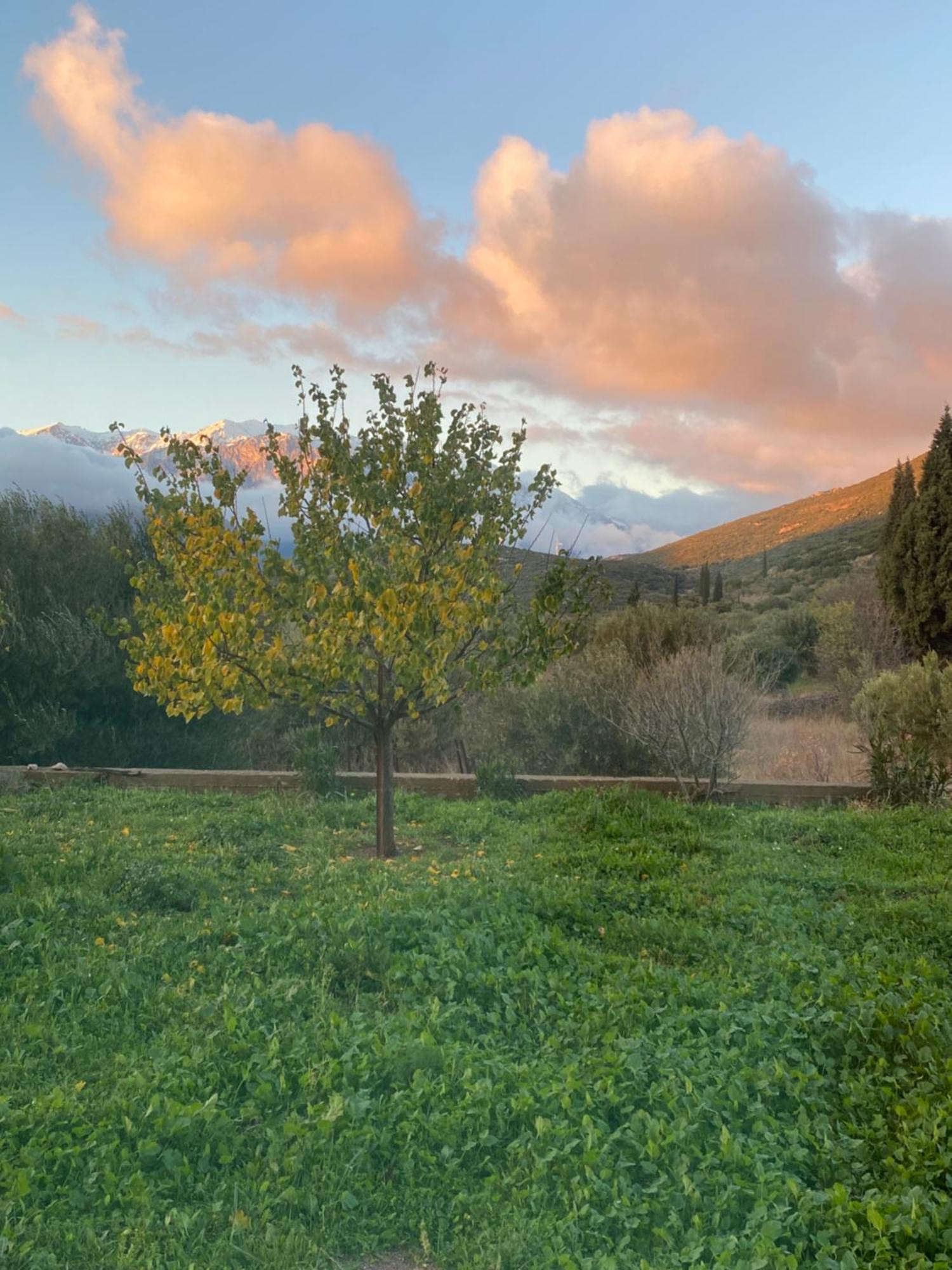 Stellas Guesthouse Near Arachova Stírion Buitenkant foto