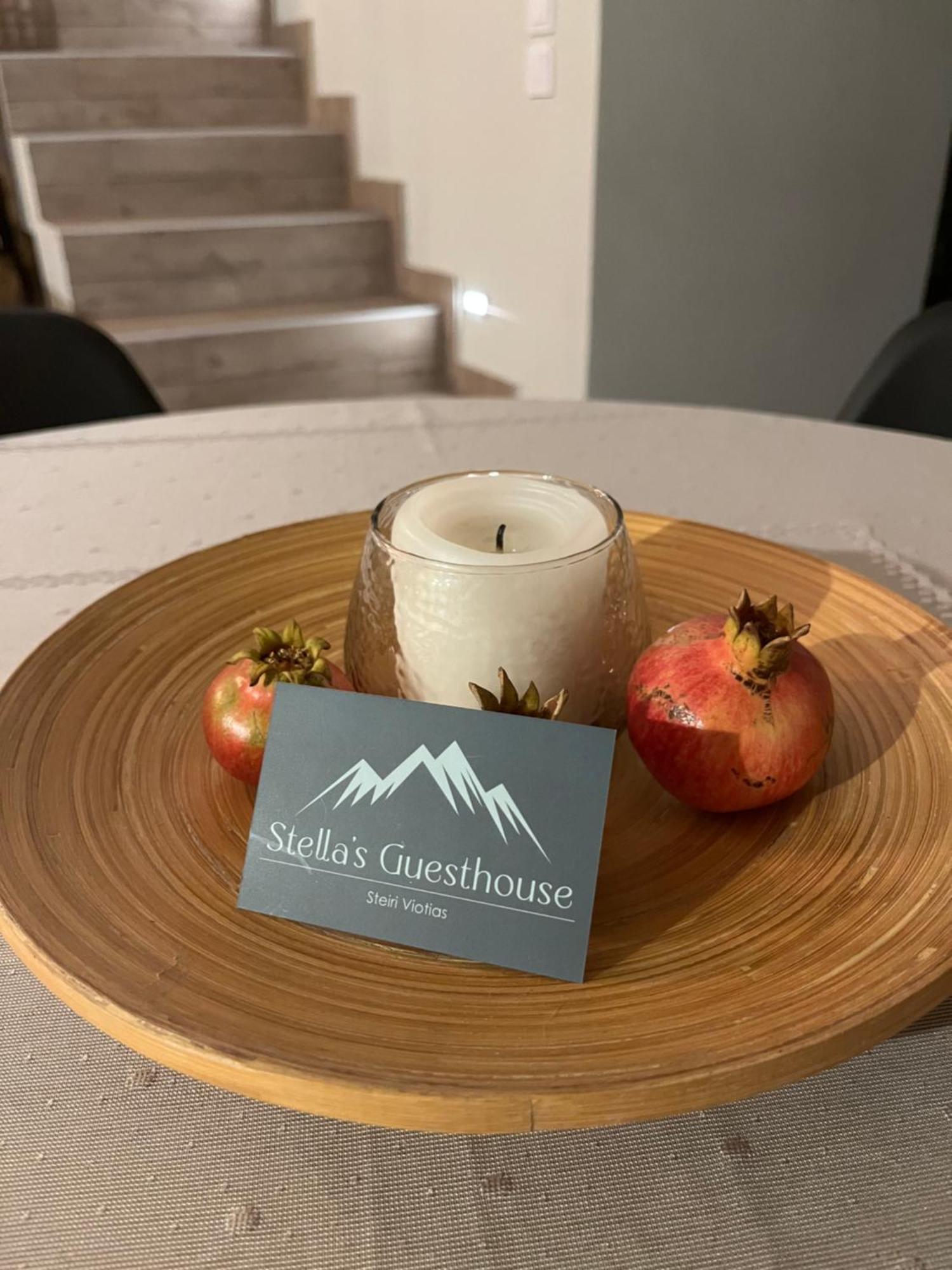Stellas Guesthouse Near Arachova Stírion Buitenkant foto